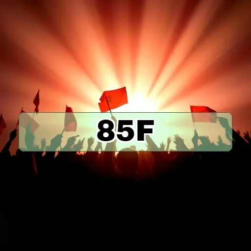 85f.com Apostas Esportivas